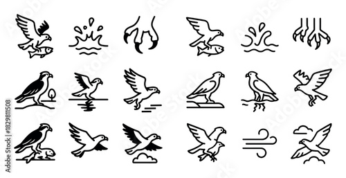 Minimalist Osprey Icons