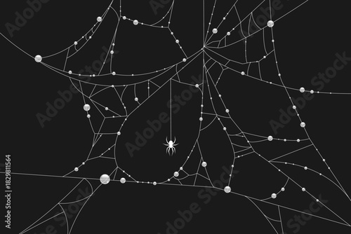 Black background with a hand drawn white spider web decorated with water drops and a spider. Vector illustration.