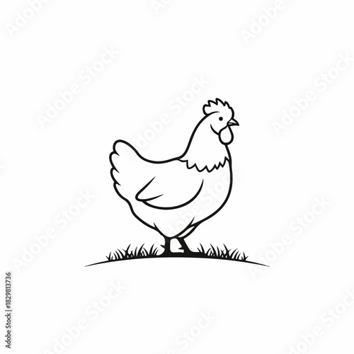 Simple black and white line art illustration of a chicken standing on grass, an ideal logo or icon for a farm, poultry, or organic food brand