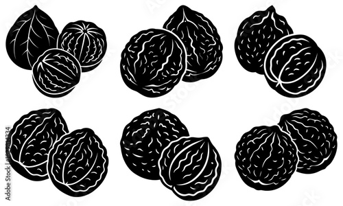 Harvest walnuts for autumn baking and healthy snacks, beautiful black and white line art from original vector graphics, perfect for food blogs