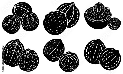 Delicious walnuts collection, vector rendering for culinary designs, healthy food illustrations, organic produce marketing, and cooking ingredient visuals