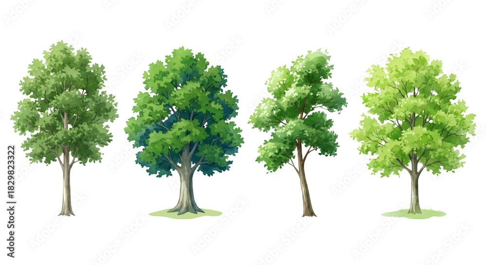 Obraz premium Four varied watercolor trees isolated, showcasing nature's beauty with lush foliage, perfect for