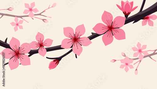 Cherry blossom branch lunar new year soft pink sakura flowers with blurred background gentle spring concept