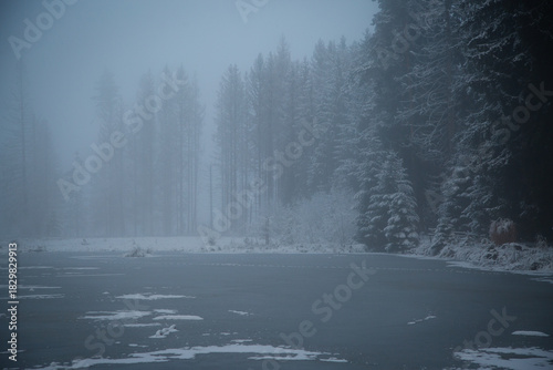 Frozen lake with fog and snowy forest in winter dawn
