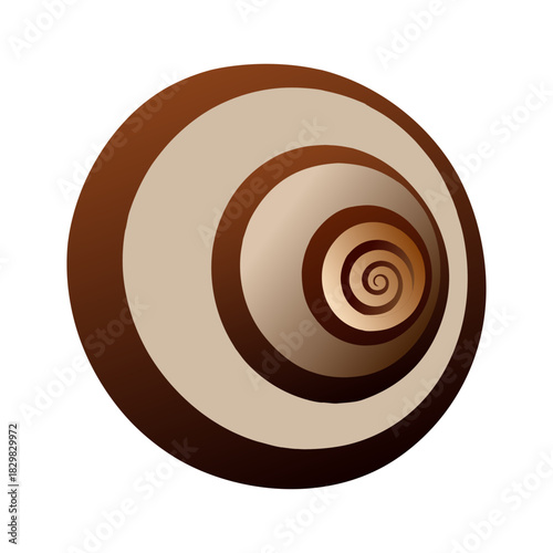 Glossy Bronze Metallic Swirl Snail Shells