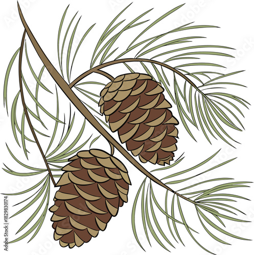 Rustic Woodland Pine Cones with Detailed Green Pine Needle Background.