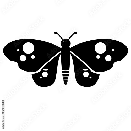 beautiful butterfly silhouette