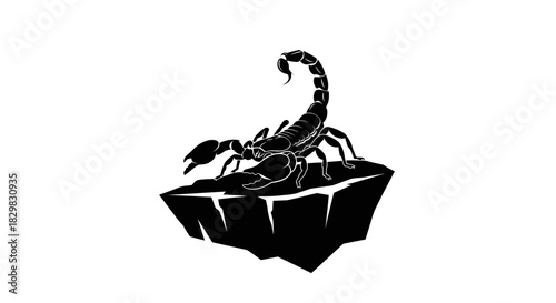 Black Scorpion Silhouette on a Floating Rock.
