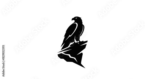 Silhouette of an Eagle Perched on a Rock Formation.