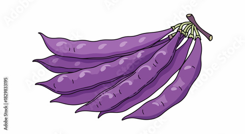 Bunch of purple beans with visible texture on clean white background. Illustration purple beans are fresh and vivid, ready for cooking or use in educational materials.