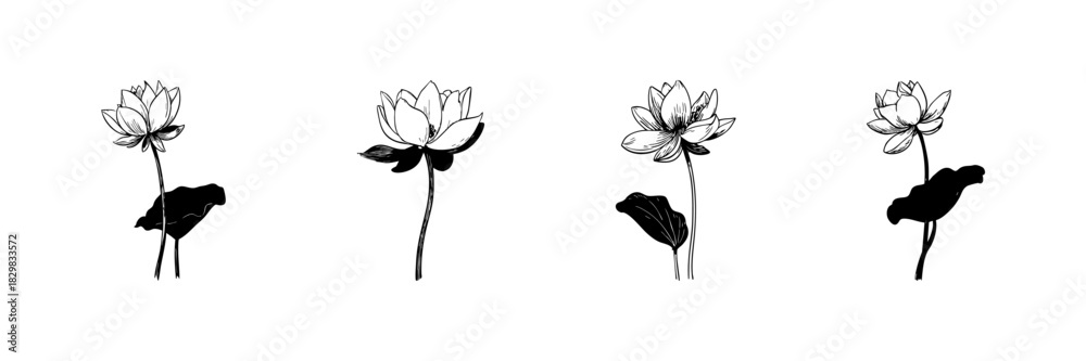 Obraz premium Lotus Flower Doodle Sketch Set. Botanical Elegance And Tranquility In Hand Drawn Style Collection. Floral Art And Nature Symbolism. Isolated Vector Illustration