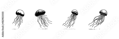 Jellyfish Doodle Sketch Set. Marine Life And Oceanic Creatures In Hand Drawn Style Collection. Underwater Wildlife Illustration. Isolated Vector Illustration
