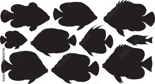 Collection of various tropical fish silhouettes