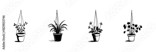 Hanging Potted Plants Doodle Sketch Set. Indoor Gardening And Home Decor In Hand Drawn Style Collection. Botanical Illustration With Various Plant Types. Isolated Vector Illustration