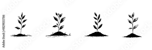 Young Plant Growth Stages Doodle Sketch Set. Botanical Development And Nature'S Life Cycle In Hand Drawn Style Collection. Environmental And Agricultural Illustration. Isolated Vector Illustration