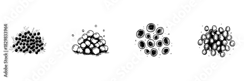 Black Peppercorns Doodle Sketch Set. Culinary Spice, Flavoring, And Seasoning Elements In Hand Drawn Style Collection. Cooking Ingredients And Aromatic Additions. Isolated Vector Illustration