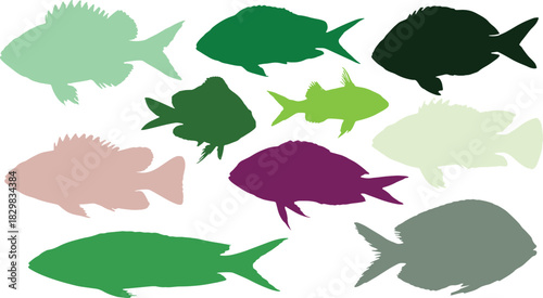 Collection of colorful fish silhouettes in various shapes and sizes