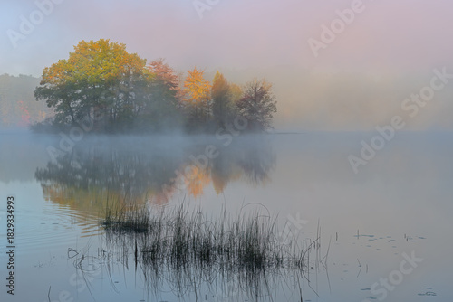 Foggy autumn landscape at sunrise of the shoreline of Hall Lake with reflections in calm water, Yankee Springs State Park, Michigan, USA