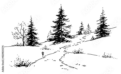 Snowy forest trail landscape with pines – winter nature hand drawn vector illustration