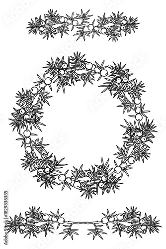 Christmas round frame with holly berries and mistletoe. Xmas and happy new year postcard. Vector illustration, holiday invitation.	
