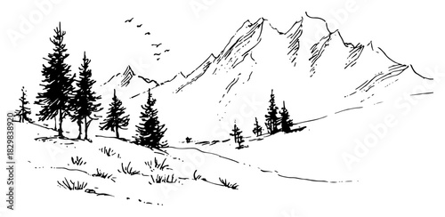 Alpine Mountain Landscape With Evergreen Pines And Flying Birds Hand Drawn Vintage Line Art Vector Illustration