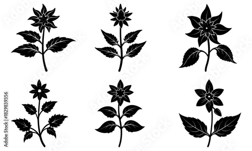 Elegant floral elements for botanical designs, perfect for wedding invitations or springtime promotions, originally a scalable vector graphic for flexible use