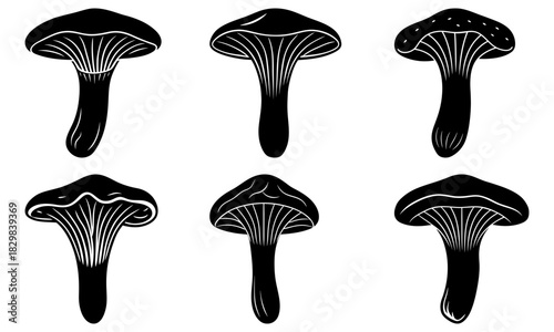 Edible mushrooms illustration, chanterelle fungus in various shapes, perfect for cooking guides, botanical studies and nature-themed projects, vector origin