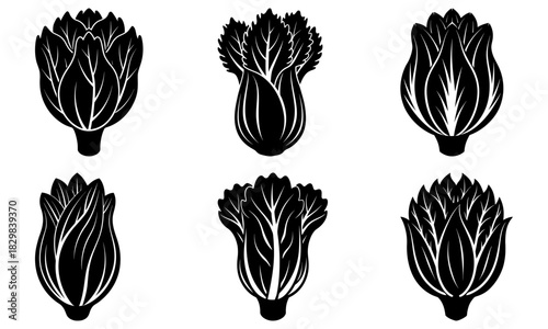 Collection of stylized bok choy vegetables, perfect for Asian cuisine illustrations or healthy eating designs, originally a scalable vector graphic