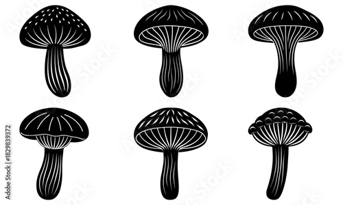 Detailed mushroom illustrations perfect for educational materials, nature guides, or botanical art projects, showcasing diverse fungi species in elegant designs