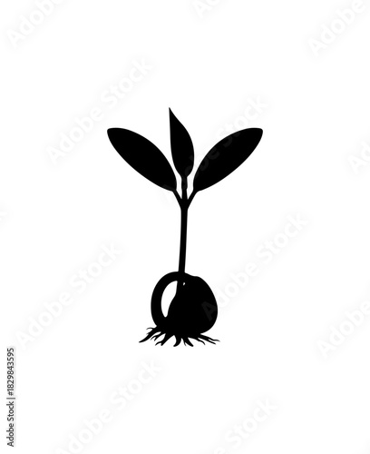 Plant Seedling Icon