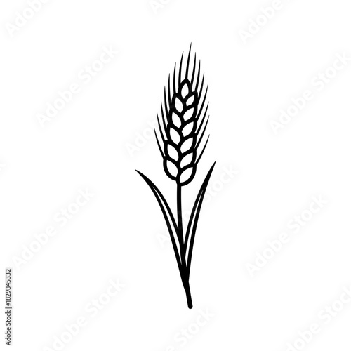 Black and white simple line art drawing of a single wheat ear or stalk isolated on