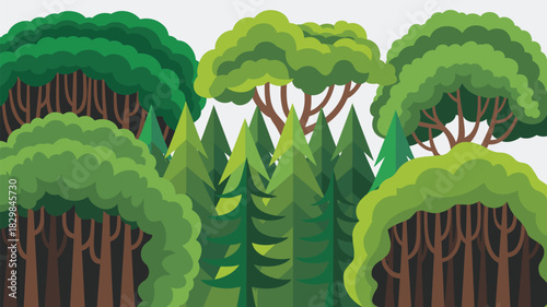 Diverse stylized forest scene featuring layered broadleaf deciduous trees and geometric evergreen coniferous pines, illustrating ecology and nature conservation for marketing, education, or profession