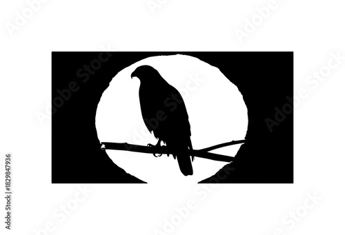 Hawk Silhouette Against Full Moon