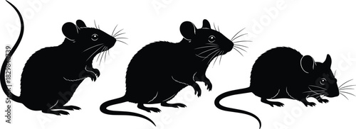 Vector Illustration Set of Mouse or Rat Silhouettes, Depicting Rodents in Different Poses Like Standing and Crouching, Ideal for Pest Control, Laboratory 