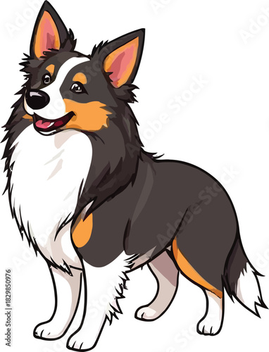 Cute cartoon a illustrator vector Sheltie