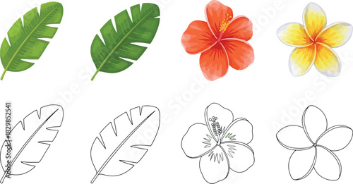Tropical leaves and flowers with corresponding line art illustrations arranged in a row