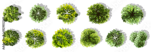 Vector watercolor green tree or forest top view isolated on white background for landscape plan and architecture drawing,plant for environment or garden,botanical element for exterior layout