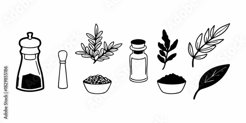 Collection of Line Art Spice and Herb Illustrations Ideal for Culinary and Botanical Design