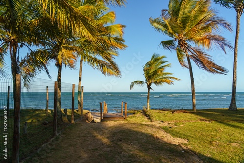 Praia tropical de Itacimirim no litoral da Bahia 