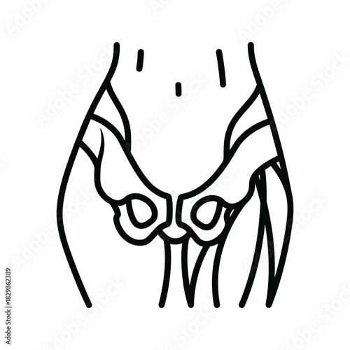 Stylized Human Pelvis and Hip Bones Outline