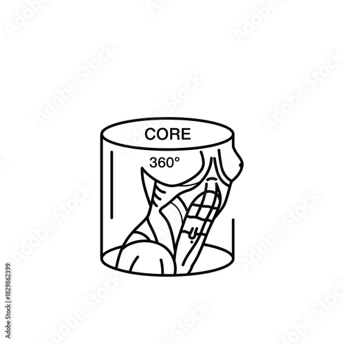 360-Degree Core Muscles Anatomy Illustration