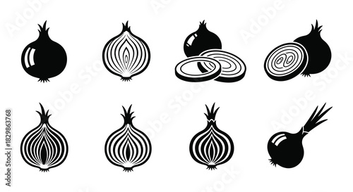 Illustrative depictions of onions in varying stages of preparation and form