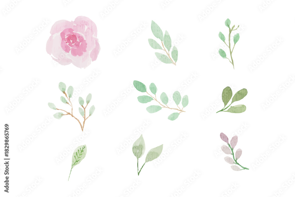 Obraz premium Assortment of watercolor leaves illustration set - green leaf branches collection for wedding, greetings, stationary, wallpapers, fashion, background. olive, green leaves, Eucalyptus etc