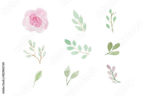 Assortment of watercolor leaves illustration set - green leaf branches collection for wedding, greetings, stationary, wallpapers, fashion, background. olive, green leaves, Eucalyptus etc