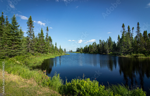 Naklejka Verdure Taillon
