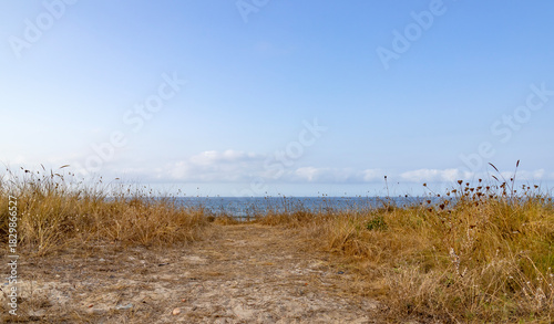 Sandy path through dry grass dunes leading to the sea with blue sky copy space.
