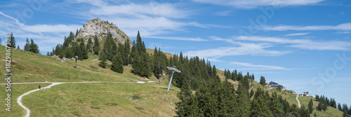 Wanderweg am Brauneck, Bayerische Voralpen, Isarwinkel, Lenggries,  Oberbayern, Bayern, Deutschland, Europa