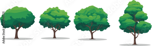Set of green deciduous forest trees with lush foliage and shadows isolated on white background for nature vector illustration.