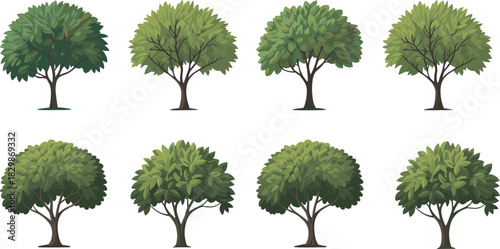 Set of green deciduous forest trees with leafy canopies isolated on white background for landscape vector design.