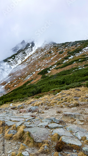 Fototapeta Naklejka Na Ścianę i Meble -  Beautiful multicoloured mountain slope in the fog in the Tatras Poland